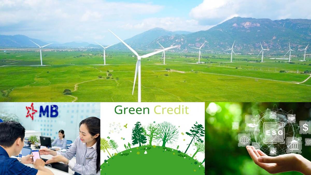 MBB: Dư nợ tín dụng xanh đạt 65.063 tỷ đồng, chiếm 8,5% tổng tín dụng