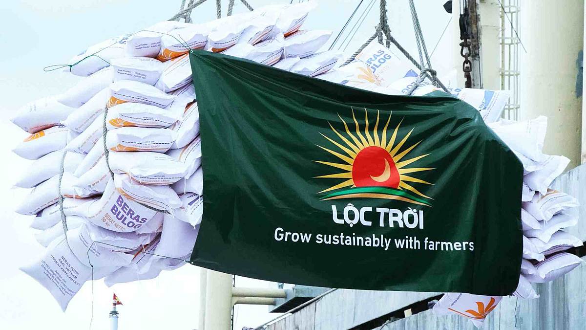 LTG: Lộc Trời đang trải qua giai đoạn lao dốc nghiêm trọng