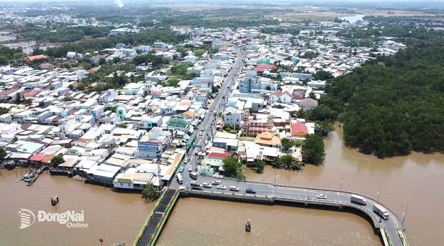 Tăng tốc Dự án Xây cầu Cát Lái
