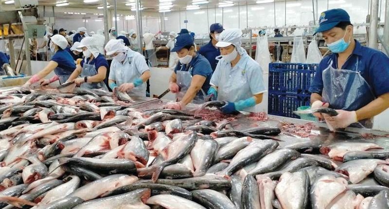 Xuất khẩu tôm và cá tra tăng trưởng khá trong 6 tháng đầu năm