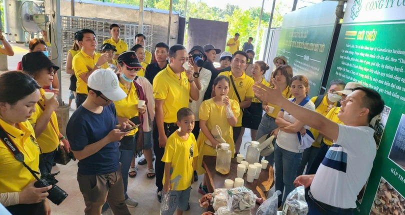 Doanh nghiệp Đắk Lắk vững vàng tiến bước nhờ “đòn bẩy” thị trường nội địa