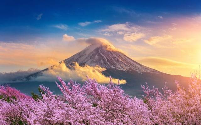 Kinh tế Nhật Bản thích nghi với già hóa dân số