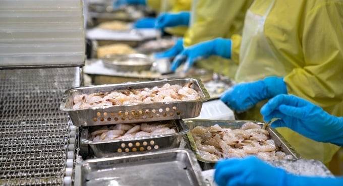 Mỹ nhập khẩu tôm Việt tăng tháng thứ 7 liên tiếp bất chấp rủi ro thuế quan