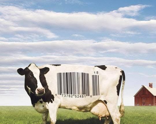 CÁI CHẾT TỪ KỸ NGHỆ THỰC PHẨM